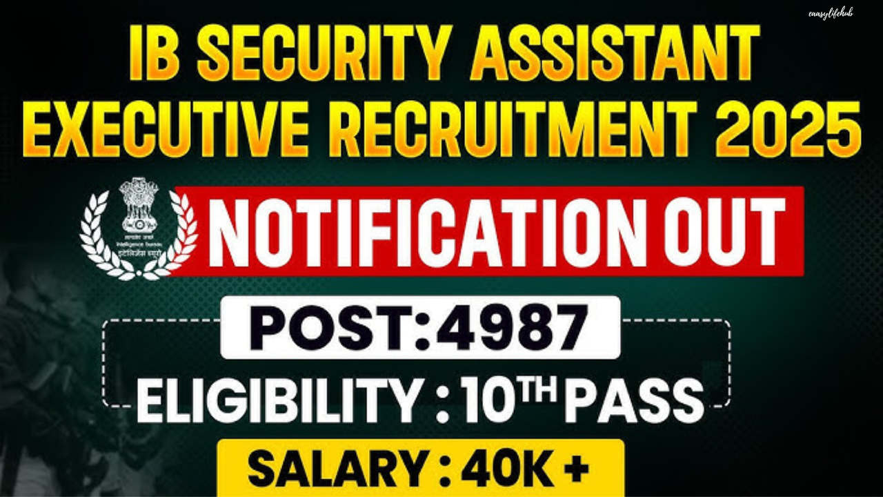 IB Security Assistant/Executive 