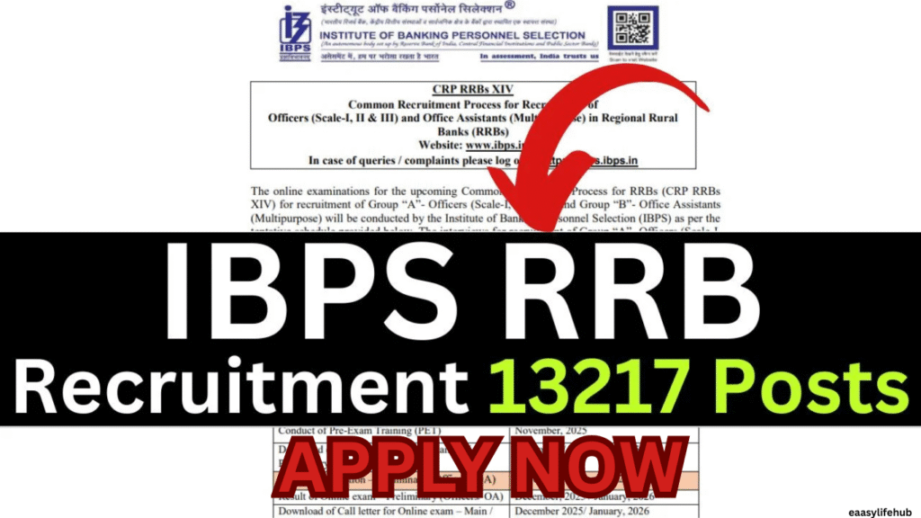 "Aspirant preparing for IBPS RRB Office Assistant 2025 exam with Hindi study materials"